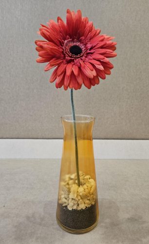 Candy Effect Tangerine Orange (Portocaliu Transparent) 400ml